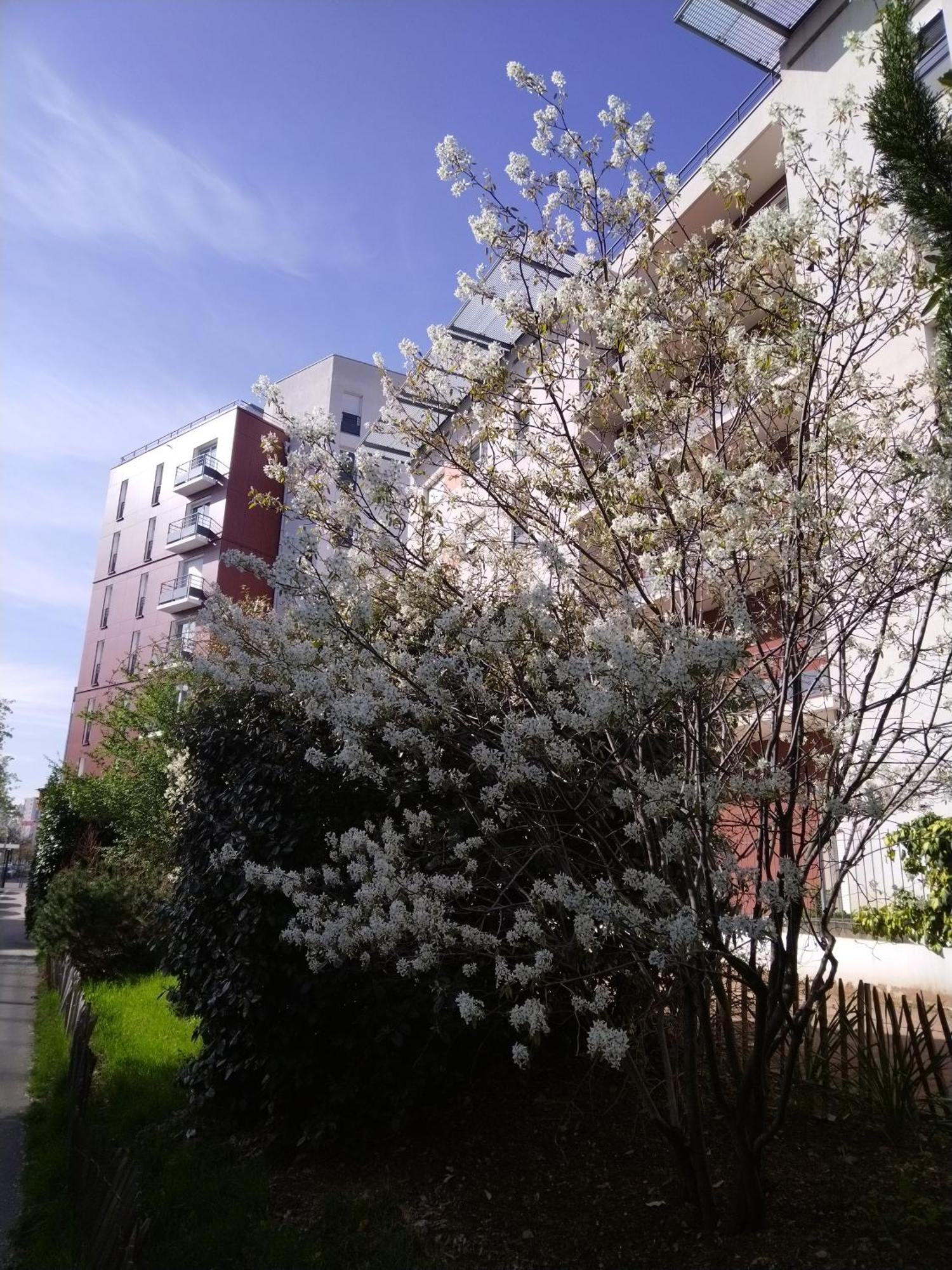 Apparthotel Privilodges Lyon Lumiere Lião Exterior foto